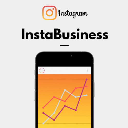 InstaBusiness