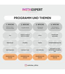 Insta Hero Online-Kurs