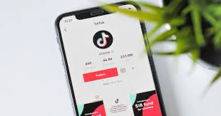 Viral auf Tiktok gehen